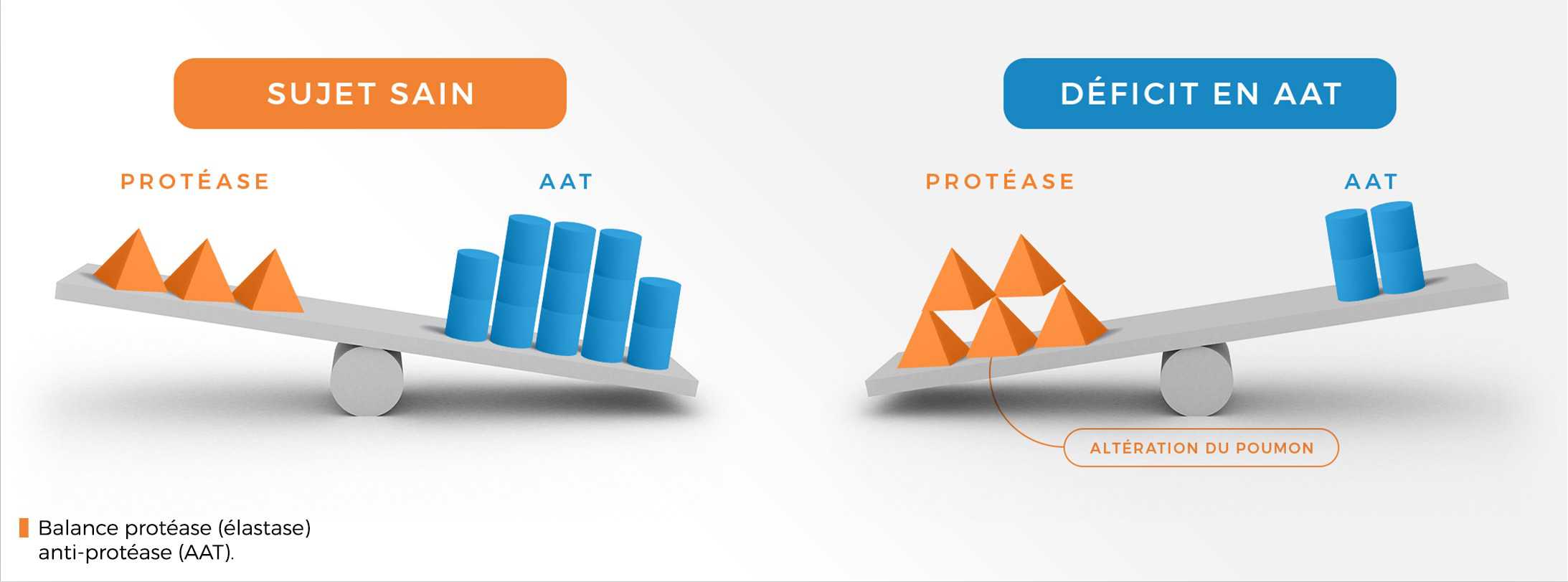 schema_deficit-en-A1AT balance protéase